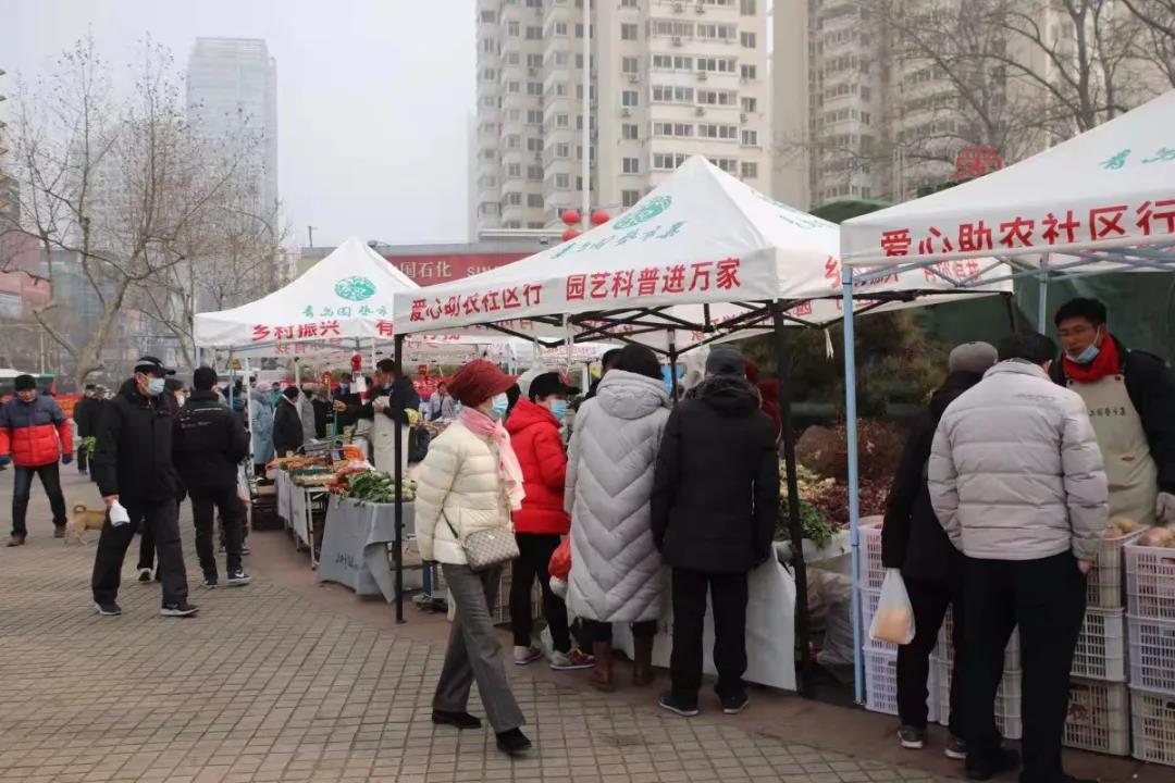 青島園藝市集盛大開集，60余種物美價(jià)廉林業(yè)產(chǎn)品任您選購(gòu)