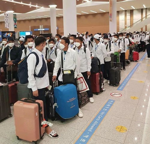 因私出入境中介服務(wù) 架設(shè)個(gè)人海外出行的專業(yè)橋梁